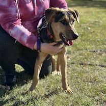 Thumbnail photo of Mercedes #4
