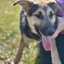 Thumbnail photo of Lexus #1