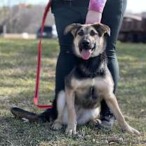 Thumbnail photo of Lexus #3