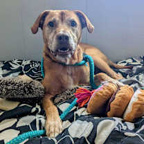 Thumbnail photo of Hero #1