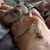 Thumbnail photo of Hero #2