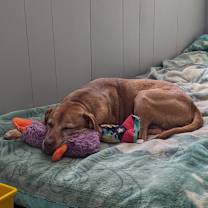 Thumbnail photo of Hero #3