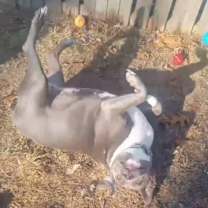 Thumbnail photo of Katie #2