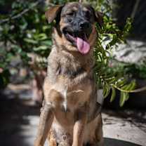 Thumbnail photo of CHURRO #2