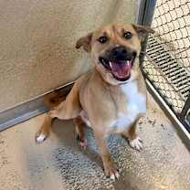 Thumbnail photo of Kai #1