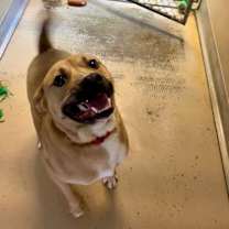 Thumbnail photo of Kai #2