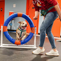 Thumbnail photo of Lily #3