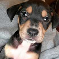 Thumbnail photo of Sasha Marie #1