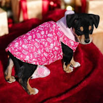 Thumbnail photo of Sasha Marie #4