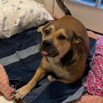 Thumbnail photo of Penny #1