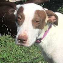 Thumbnail photo of Flo #1