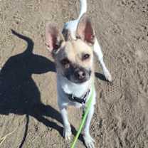 Thumbnail photo of Joseph #1