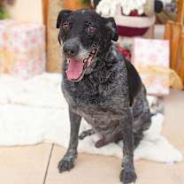 Thumbnail photo of Jesse #1