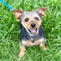 Thumbnail photo of A Bundle of Joy - Sprocket Nov 24 #2