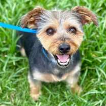 Thumbnail photo of A Bundle of Joy - Sprocket Nov 24 #3