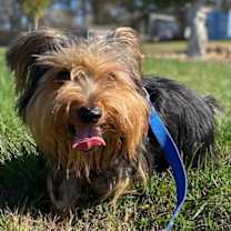 Thumbnail photo of A Bundle of Joy - Sprocket Nov 24 #4