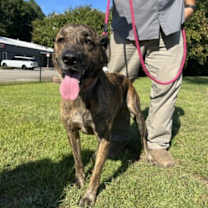 Thumbnail photo of Alyssa #4