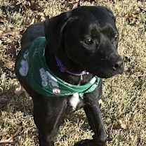 Thumbnail photo of Carrie #3