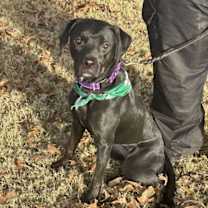 Thumbnail photo of Carrie #4