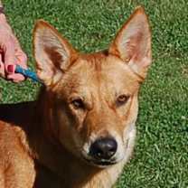 Thumbnail photo of Red AD 08-23-25: #1