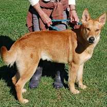 Thumbnail photo of Red AD 08-23-25: #2