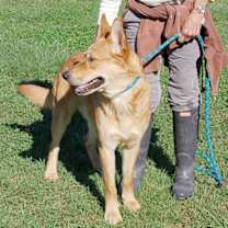 Thumbnail photo of Red AD 08-23-25: #3