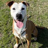 Thumbnail photo of Jerry #1