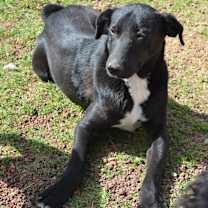 Thumbnail photo of Facky #2