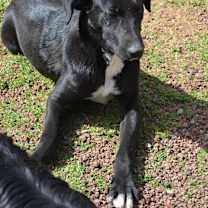 Thumbnail photo of Facky #3