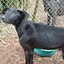 Thumbnail photo of Facky #4