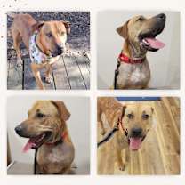 Thumbnail photo of Karma *WAIVED FEE #3