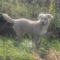 Thumbnail photo of Sydney #2