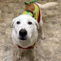 Thumbnail photo of Storm #1