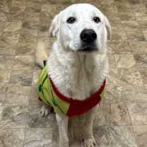 Thumbnail photo of Storm #2