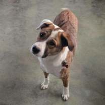 Thumbnail photo of Sally #1