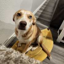 Thumbnail photo of Mama #1