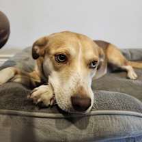 Thumbnail photo of Mama #4