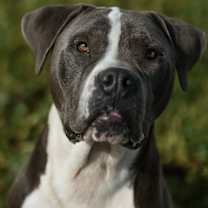 Thumbnail photo of Mater #1