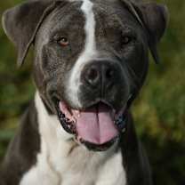 Thumbnail photo of Mater #3