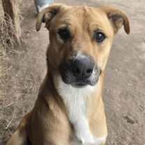 Thumbnail photo of Dustin #4