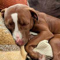 Thumbnail photo of Tropic #2