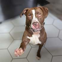 Thumbnail photo of Tropic #3