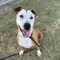 Thumbnail photo of Jerry #2