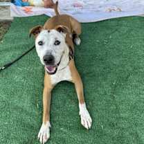 Thumbnail photo of Jerry #3