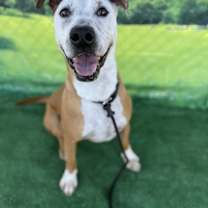 Thumbnail photo of Jerry #4