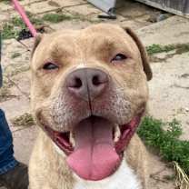 Thumbnail photo of JACQUES #2