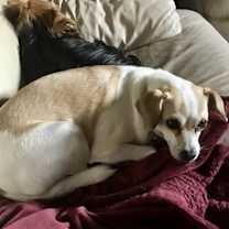 Thumbnail photo of Cherry #2