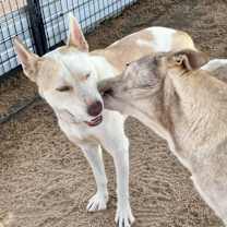 Thumbnail photo of TENOR & BASS #1