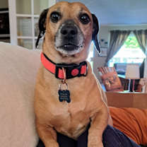 Thumbnail photo of Sal #2