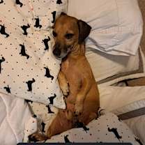 Thumbnail photo of Sal #3